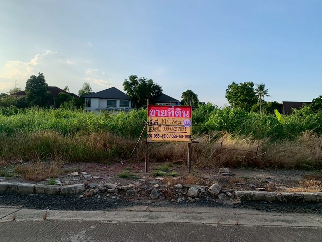 ขายที่ดิน 144.7 ตร.วา. หมู่บ้านเอกชัยเลควิลล์ ด้านหลังติดน้ำ บรรยากาศดี เหมาะสร้างบ้าน   ZN718 