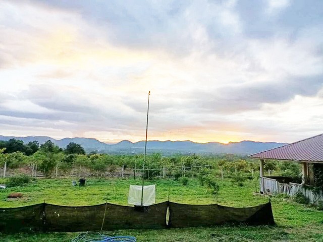 ขายที่ดินลี้ ลำพูน 23 ไร่กว่า วิวภูเขา บรรยากาศธรรมชาติ ราคาดี