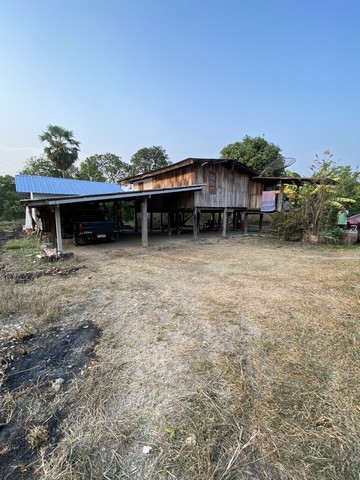 ที่ดินบ้านพร้อมโอนเจ้าของขายเอง ขายบ้านไม้ จ.สิงห์บุรี  วิถีไทย  ต.โพทะเล วิถีไทย 262 วา ต.โพทะเล อ.ค่ายบางระจัน สิงห์บุรี 500000บาท