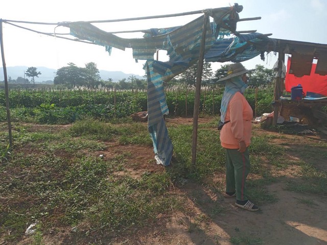 เดือนความรักหาทรัพย์สวยสักแปลง ที่สวยติดแม่น้ำน่าน น้ำใสไหลรินตลอดปี  ต.ศรีภูมิ อ.ท่าวังผา จ.น่าน ขาย 800000  วิวดีสวยมาก 0968821857