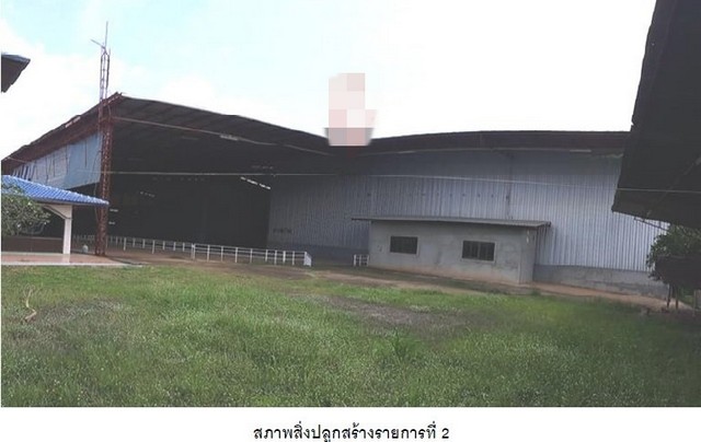 ขายโกดังมือสอง              อำเภอหัวตะพาน อำนาจเจริญ