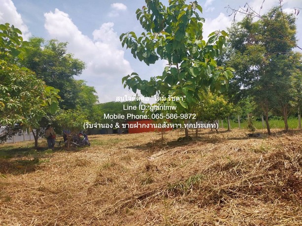 FOR SALE ที่ดิน ขายที่ดินเปล่า 1-0-14.5 ไร่ (414.5 ตร.ว.) ซ.สุวินทวงศ์ ใกล้สนามกอล์ฟฟินิกซ์ โกลด์ กอล์ฟ แบงค็อก  4500000 บ. ใกล้ ใกล้สนามกอล์ฟฟินิกซ์ โกลด์ กอล์ฟ แบงค็อก (Phoenix Gold Golf Bangkok) ราคาสุดพิเศษ