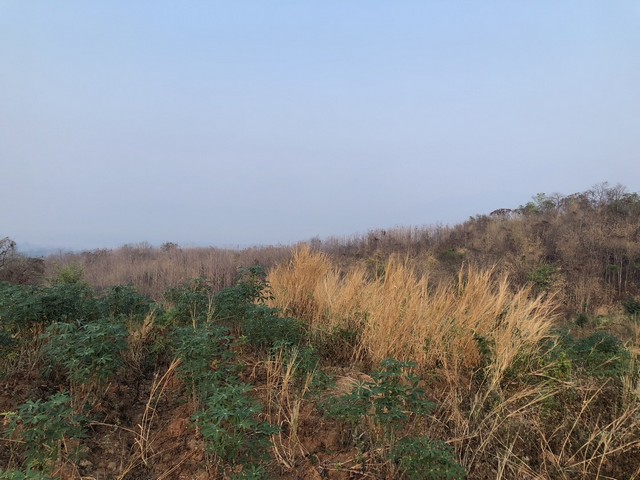 ที่ดินบ้านพร้อมโอนเจ้าของขายเอง ธรรมชาติเนินเขา ที่ดินโฉนดแบ่งขาย หล่มเก่า เพชรบูรณ์ ใกล้ภูทับเบิก โทร 0968821857