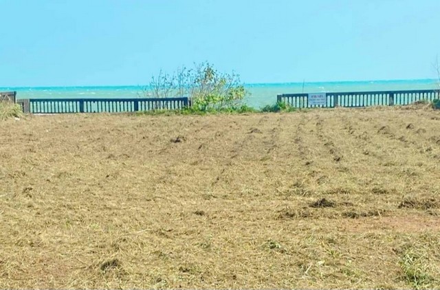 ที่ดินบ้านพร้อมโอนเจ้าของขายเอง ขายที่ดินริมหาดสะพลีทรายขาวน้ำใสคราม สวยงามวิวทะเลธรรมชาติสุดสุด ปะทิวใกล้หาดสวยทุ่งวัวแล่น  