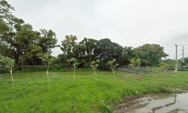 ขายที่ดิน 5 ไร่ 3 งาน ในนิคมอุตสาหกรรมลาดกระบัง โซน 3 เขตส่งออก Free Zone เหมาะสร้างโรงงาน