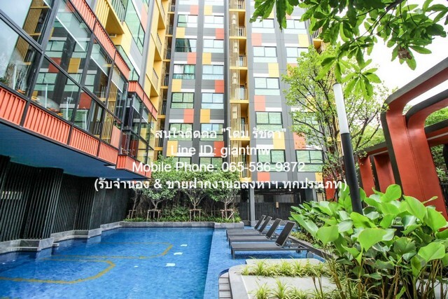 Condo. พลัมคอนโด สุขุมวิท 97.1 พื้นที่เท่ากับ 26 ตรม 13000 บาท   ราคาดีที่สุด กรุงเทพ